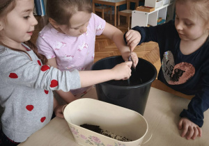 Dziewczynki wkładają ziemię do doniczek