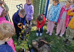 Chłopiec szpadlem kopie dół