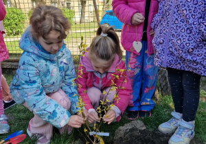 Dziewczynki wsadzają roślinę