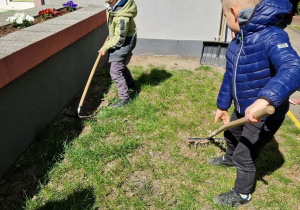 Dzieci grabią trawnik